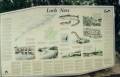 nessie_photo_08.jpg