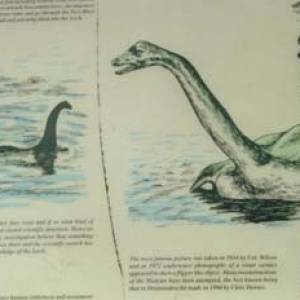 nessie_photo_09.jpg