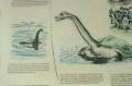 nessie_photo_09.jpg