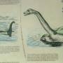 nessie_photo_09.jpg