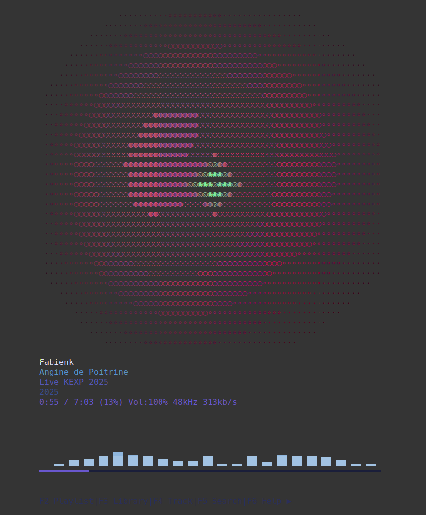 Kew : écouter de la musique depuis son terminal tout en ayant du style