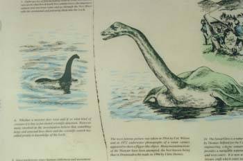 nessie_photo_09.jpg nessie_photo_09.jpg